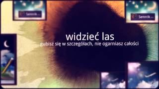 Sennik Las  Odkryj Znaczenie Snów o Lesie  Sennikbiz [upl. by Anam]