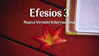 Efesios 3  Nueva Versión Internacional  Biblia en audio [upl. by Dnarud]