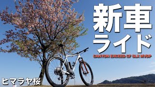 新車ライド 【CANYON EXCEED CF SLX MVDP】 熱海のヒマラヤ桜サイクリング [upl. by Corrine715]