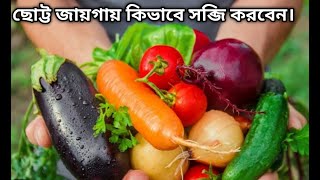 How to grow a vegetable garden in a small space  ছোট্ট জায়গায় কিভাবে সব্জি করবেন । gardening tips [upl. by Onihc]