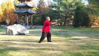 Tai Chi 10 Step Detailed Instructional Video [upl. by Doownel]