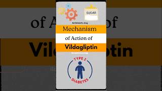 Vildagliptin neetpg mbbs action [upl. by Plume]