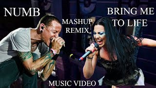 Linkin Park amp Evanescence  Numb Life Official Video  Mashup Numb amp Bring Me To Life [upl. by Ylsew110]