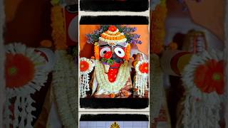 2024 new Jagannath status videofull screen status video 😍❤️jagannath 4kfullscreenstatus odia [upl. by Anrev]