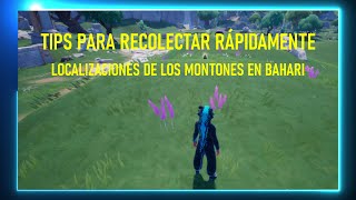 TIPS RECOLECTAR RÁPIDAMENTE Y LOCALIZACIONES DE LOS MONTONES EN BAHARI  PALIA COMUNIDAD ESPAÑOLA [upl. by Stich610]