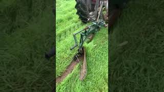 Massey Ferguson 135 Ploughing [upl. by Rape]