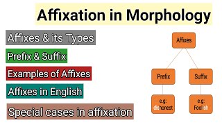 Affixation in Morphology  Affixes amp its types  Prefix and suffix examples  Words Formation Proces [upl. by Eugen]