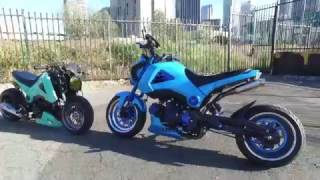 Thumper Ride 2017 Honda Grom [upl. by Airdnahs]