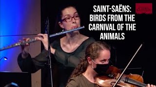 SaintSaëns Volière from the Carnival of the Animals  flute solo [upl. by Aicire907]