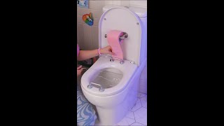 DIY Toilet Hack for Everyday Problems 🚽✨ DIY lifehack funny [upl. by Scrope]