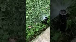 How Your Replacement Sprinkler Sprayer Head Should Work [upl. by Oirotciv]