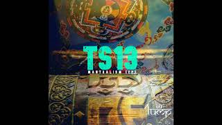 TS13  Mantralism Max TenRoM Remix [upl. by Neenad]