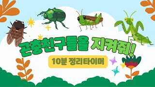 🪲곤충친구들을 지켜줘 🐞10분정리타이머🦗유치원 정리타이머🌳정리타이머🕷️ [upl. by Harpole564]