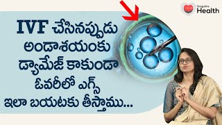 Is IVF Painful  అండాశయంకు డ్యామేజ్ కాకుండా ఓవరీలో ఎగ్స్ Dr Aradhya Achuri  TeluguOne Health [upl. by Kassity]