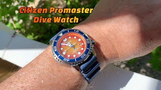 Citizen Promaster Eco Dive Watch Review [upl. by Analah920]