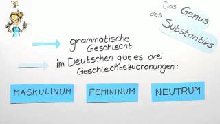 Genus des Substantivs  Deutsch  Grammatik [upl. by Munt]