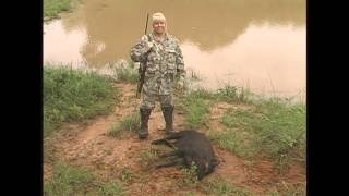 Woman charged by boar hog hunting With Glenn Guess [upl. by Elletnwahs]