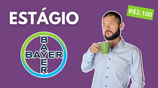 Como passar no ESTÁGIO BAYER 2025 [upl. by Risser]