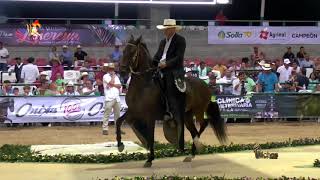 TENTADORA DE BARCELONA GRAN CAMPEONA NACIONAL TROTE Y GALOPE VALLEDUPAR 2018 [upl. by Aliehc]