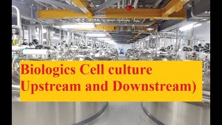 cell culture processes biological pharmaceuticaltechnology [upl. by Tilly]