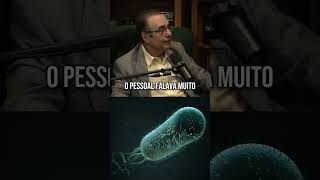 OS PERIGOS DA SALMONELLA [upl. by Arbe]