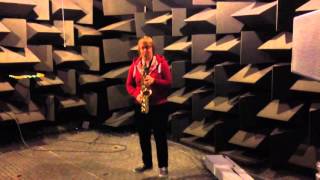 Saxophone in Reverberation Room and Anechoic Chamber [upl. by Elfstan904]