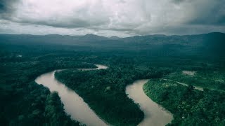 Un cubano en la Selva de Darién [upl. by Nivlem]