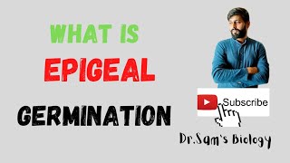 What is Epigeal Germination [upl. by Odessa]