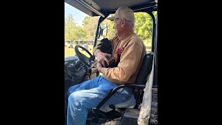 Selecting Quality Breeding Materials at Green Jean Farm Mr Larry Romero [upl. by Ettelracs]