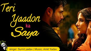 Teri Yaadon ka saya official sad song  Lyrical Music  new sad song  sad songs  2024 song [upl. by Anitap]