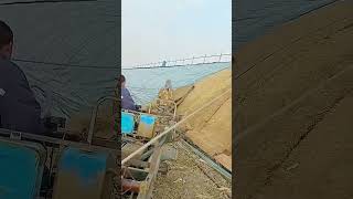 Insulation straw mat laying process for vegetable shed [upl. by Nuhsal993]