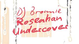 Rosenhan Undercover [upl. by Luar]