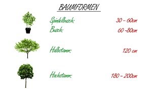 Obstbaumschnitt Der Kurs Theorie Kap 4 Baumformen [upl. by Yoko478]