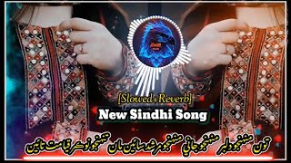 ToMuhnjoDilberMahnjoJaniMahnjoMurshidSain  New Sindhi TikTok trending song [upl. by Imailiv]