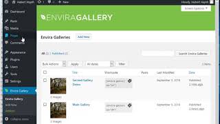 How to install and use Envira Photo Gallery plugin with WordPress [upl. by Satterlee]