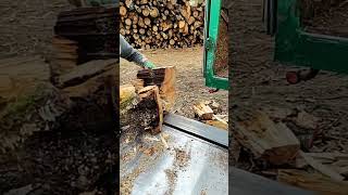 Log Splitter Double logsplitter machine woodwooding wood [upl. by Andi]