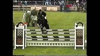 World Record Puissance Show Jumping Franke Sloothaak [upl. by Krista205]