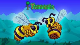 Terraria  Queen Bee has awoken Bienenkönigin [upl. by Ojok]