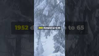 Top 5 Record Snow Events in US History [upl. by Nelrah]