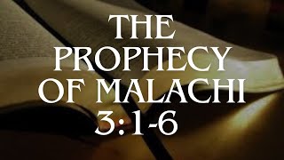 Malachi 316 God Advocates For The Fatherless And Foreigners Why Dont Christians Stand Up [upl. by Riocard]