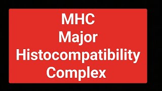 MHC complete notes [upl. by Coleman]