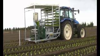 Fully automatic planting machine  4 row vegetable transplanter [upl. by Alyekahs]