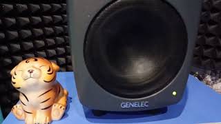 GENELEC 8040 BPM [upl. by Evie]