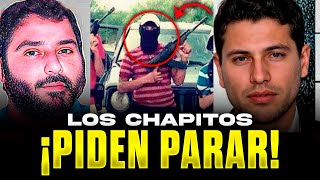 💥¡¡LA CHAPIZA PIERDE LA MAYIZA ELIMINA al SICARIO JEFE de los CHAPITOS alias quotEl PANUquot [upl. by Anayad647]