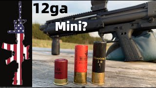 12 Gauge Mini Shells Review  ULTIMATE SelfHome Defense [upl. by Asillem]