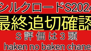 シルクロードステークス2024 最終追切確認 S評価は3頭 [upl. by Ocimad651]