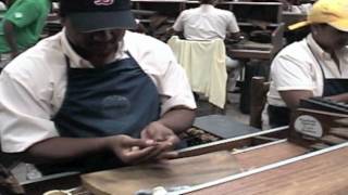 Making a Premium Hand Made Cigar [upl. by Nosraep]