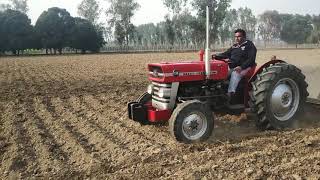 Massey Ferguson 135  1969 Model  working in Field [upl. by Dlawso329]