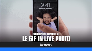 Trasformare le GIF in Live Photo e impostarle come sfondo animato nelliPhone [upl. by Morven]