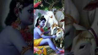 Giridhari Hai bhajan [upl. by Liz]